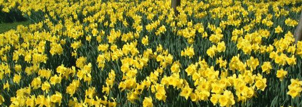 Spring Has Sprung at Lions Pride and in Happy Valley