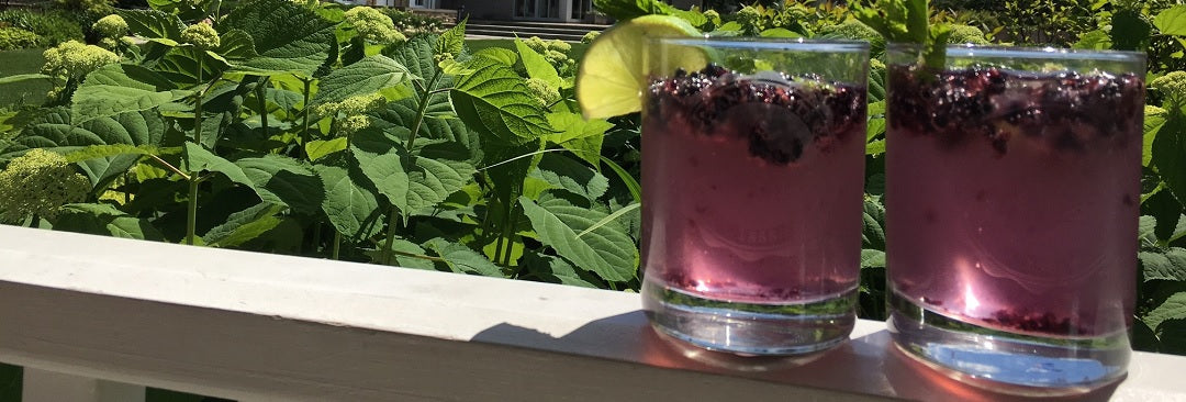 Mt. Nittany Mojito