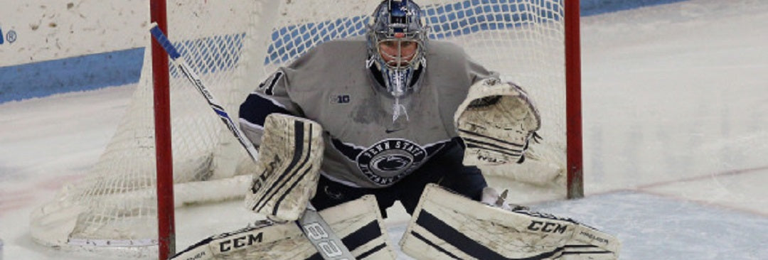 No. 11 M. Hockey Splits Series Against No. 16 Wisconsin