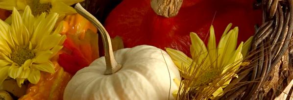 Giving Thanks