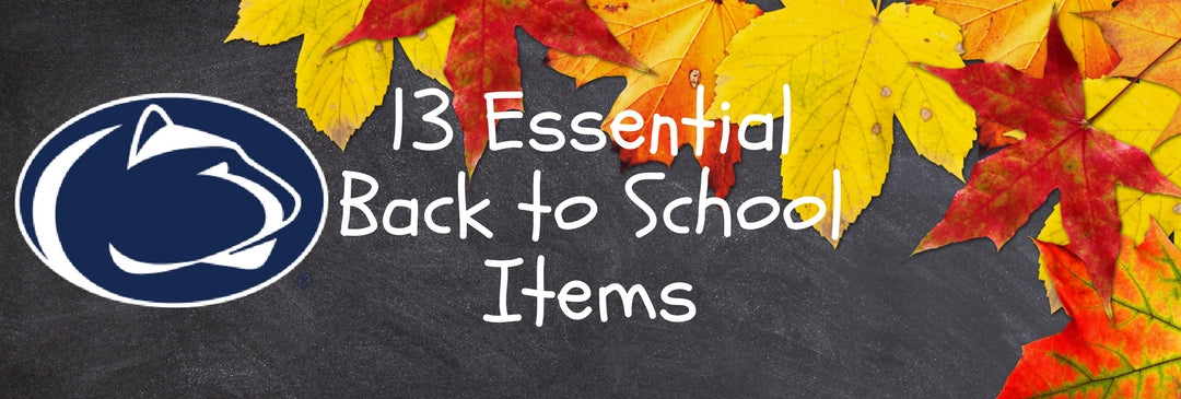 13 Essential Back to School Items for Your Little Lion