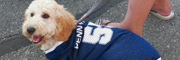 21 Adorable Penn State Pets to Brighten Your Day