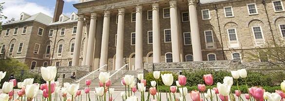 5 Fun and Easy Gen Eds Offered at Penn State