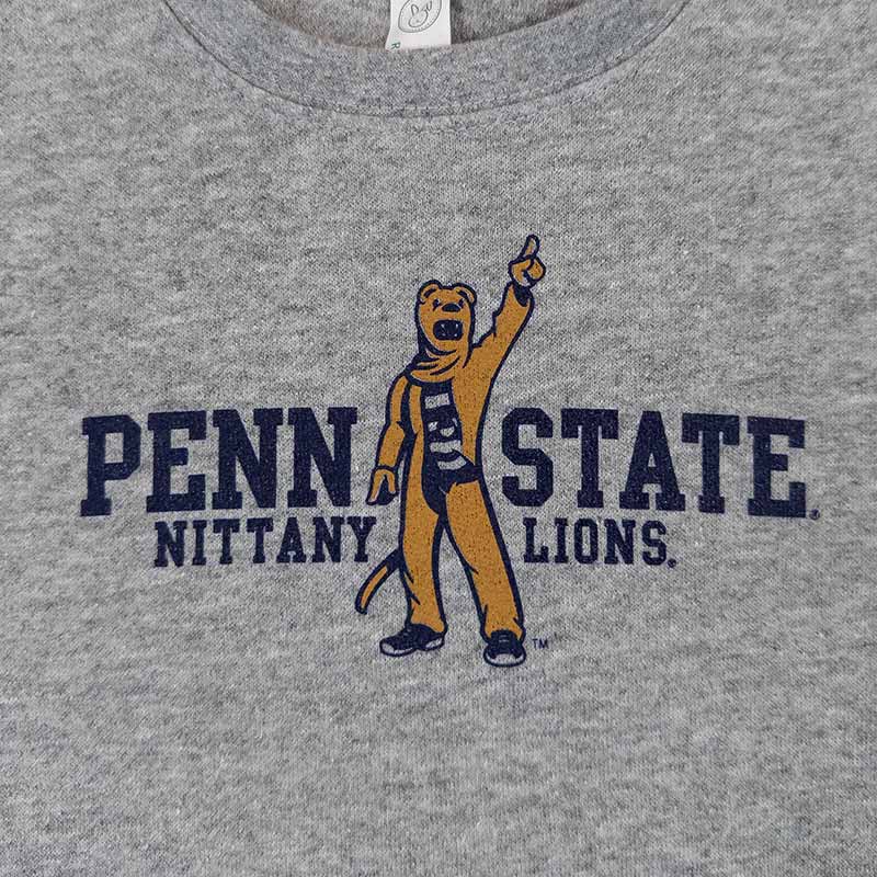Toddler Lion Mascot Sweatshirt - Gray