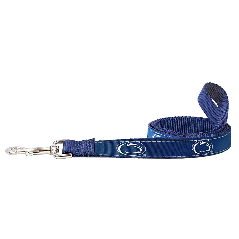 Woven Ribbon Dog Leash-6ft