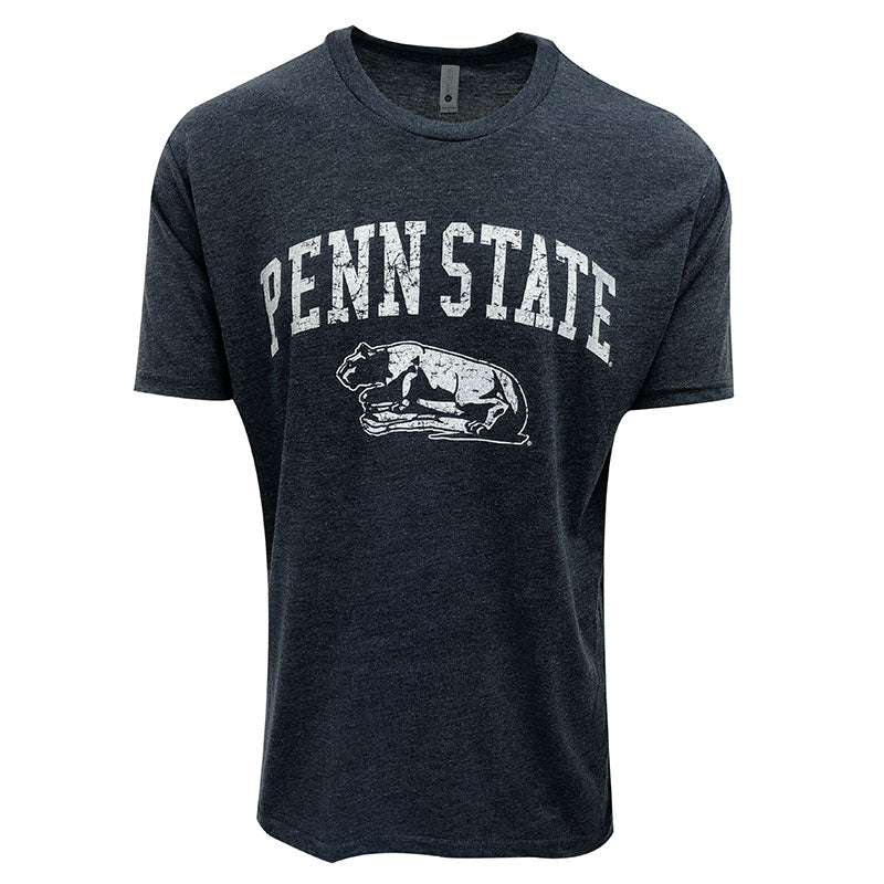 Tri Blend Lion Shrine T-Shirt