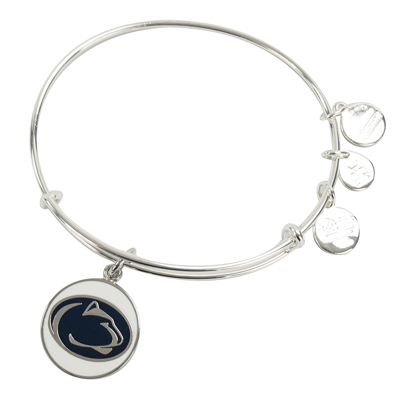 Alex & Ani Color Infusion PSU Bangle