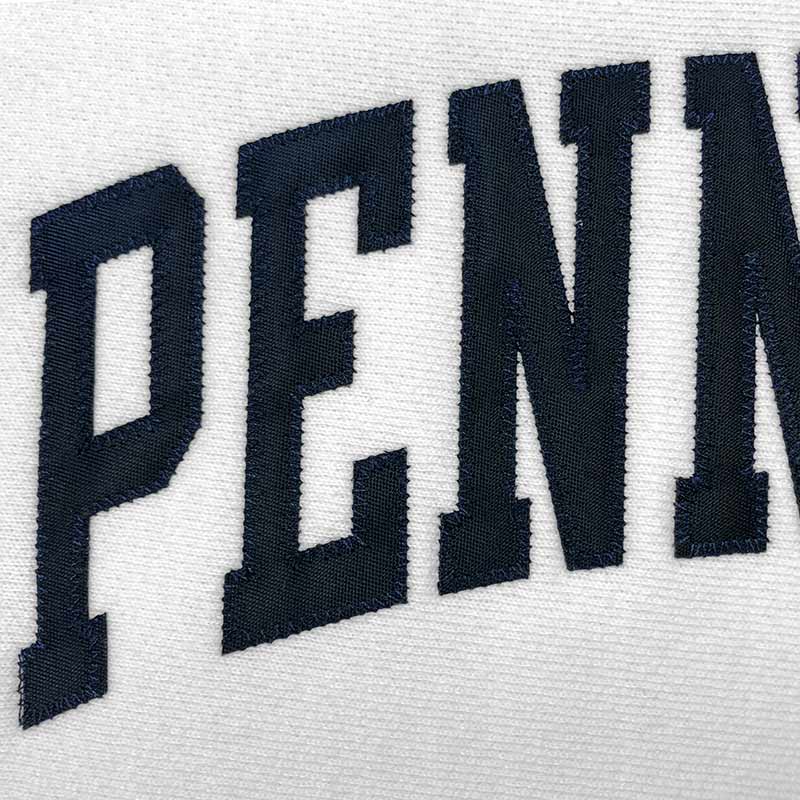 Champion Reverse Weave Heavyweight Twill Letter Crewneck Sweatshirt