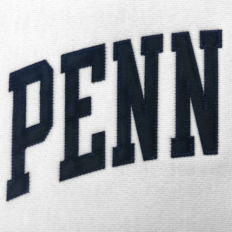 Champion Reverse Weave Heavyweight Twill Letter Hoodie