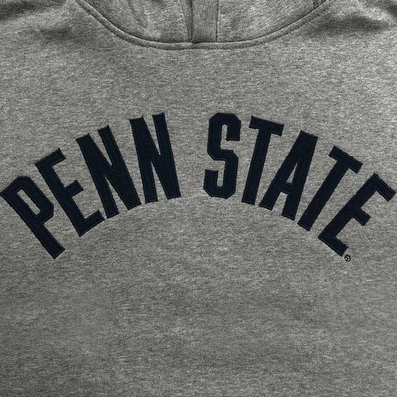 League Stadium Embroidered Penn State Hoodie